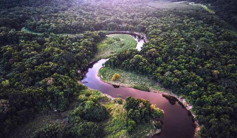 Luchtfoto van een kronkelende rivier door een dicht bos.
