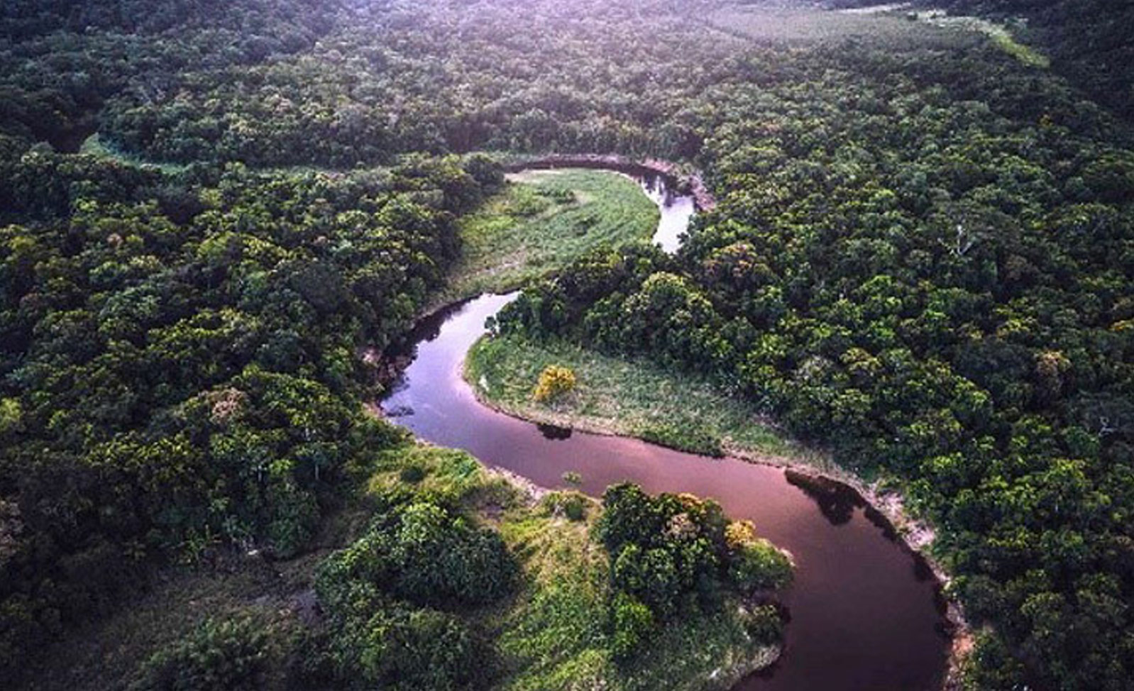 Vue aérienne d'une rivière sinueuse à travers une forêt dense